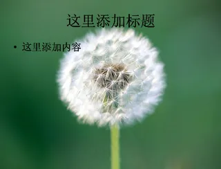 PPT高考学子如蒲公英般背景图片...