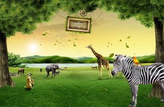 草地上野生动物psd素材