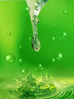 树叶水滴图片