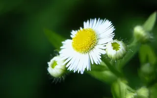 高清电脑桌面背景壁纸