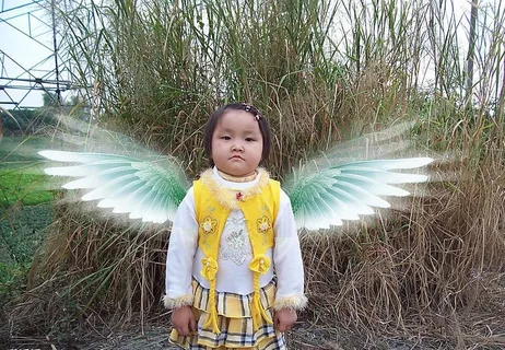 王敏 小天使 翅膀图片 王敏 小天使 翅膀图片