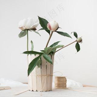 简约小清新文艺风插花静物摆拍背景