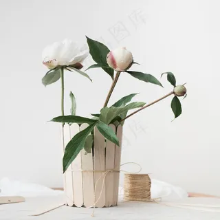 简约小清新文艺风插花静物摆拍背景