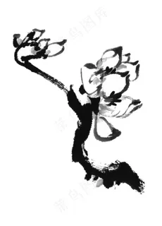 水墨花卉 水墨花卉