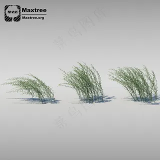 草模型图片 草模型图片