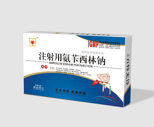 药品简洁包装cdr矢量模版下载