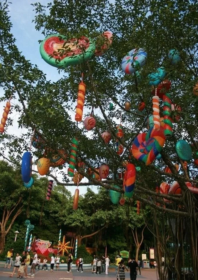 糖果树图片