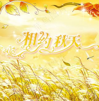 秋季海报