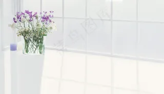 落地窗PSD分层 窗台上的盆栽