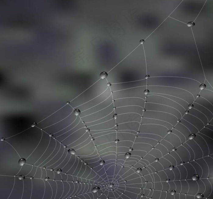 水珠水滴蜘蛛网图片eps,ai矢量模版下载