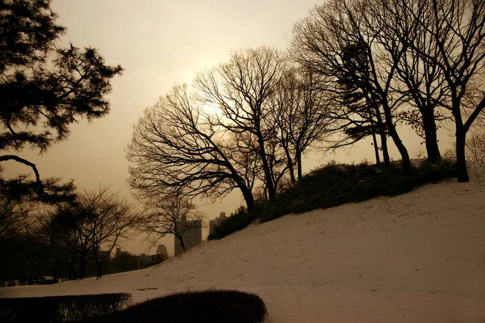 城市雪地风景