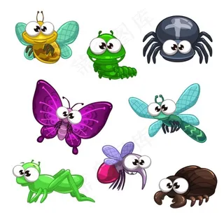 彩色昆虫图片