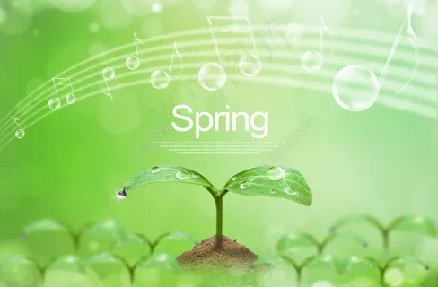 春天的小绿苗PSD设计素材