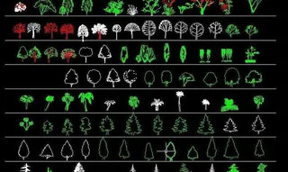 园林树木立面图CAD素材