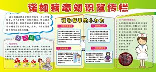 诺如病毒知识宣传栏