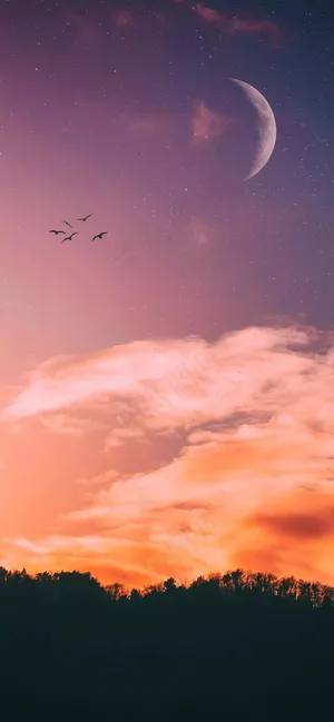 天空月亮风景 天空月亮风景