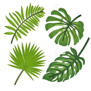 4款逼真绿色热带植物叶子矢量图 4款逼真绿色热带植物叶子矢量图