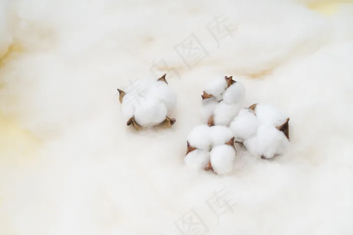 棉花|纯棉|棉花素材|棉|纯棉面料