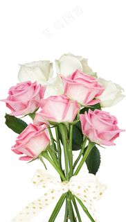 一大束玫瑰花 玫瑰 玫瑰花