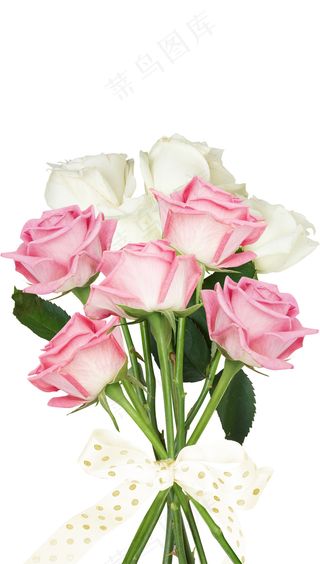 一大束玫瑰花 玫瑰 玫瑰花