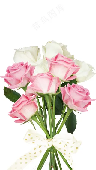 一大束玫瑰花 玫瑰 玫瑰花