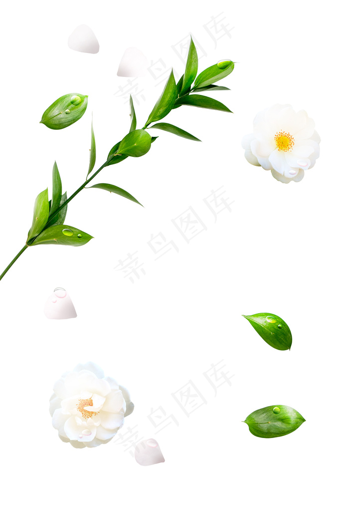 鲜花绿叶图片psd模版下载