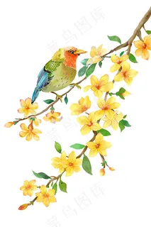 鲜花和鸟插画