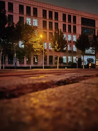 随手拍 霓虹深处