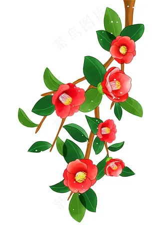 红色鲜花 鲜花插画