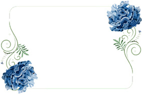 小清新|花鸟圆形边框