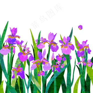 紫色鲜花图片 紫色鲜花图片