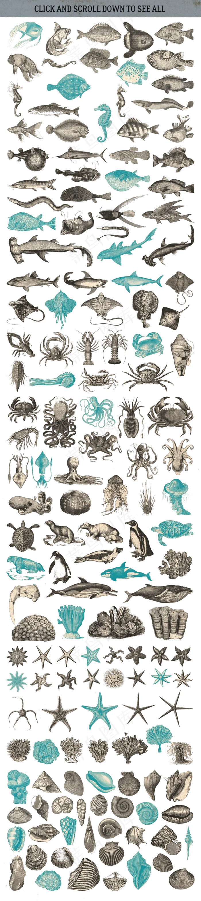 手绘PNG免扣素材深海海洋生物海报...(1500X6700)