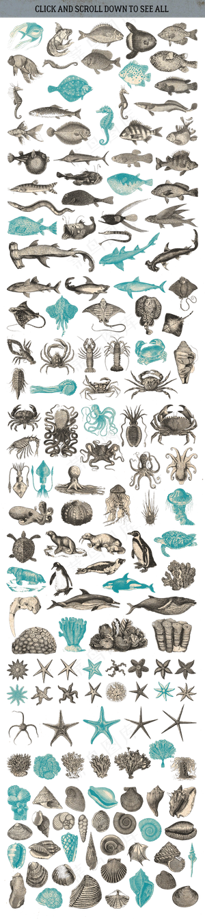 手绘PNG免扣素材深海海洋生物海报...