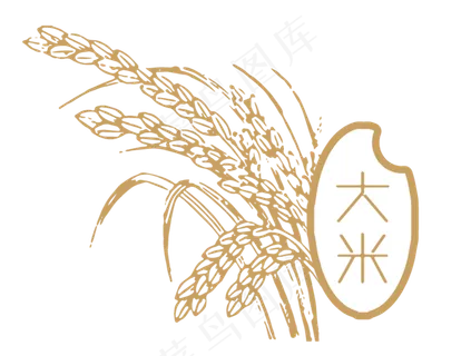 大米水稻矢量图