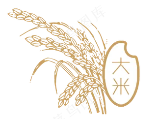 大米水稻矢量图