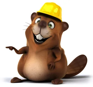 戴帽子的卡通松鼠图片