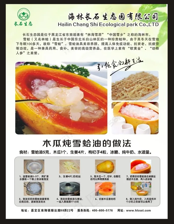 海报设计cdr矢量模版下载