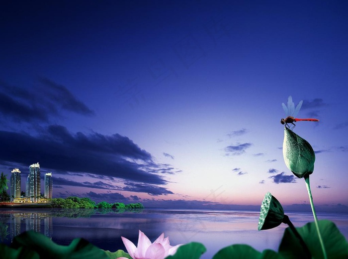 蜻蜓荷花房地产图片(2500X2000(DPI:350))psd模版下载