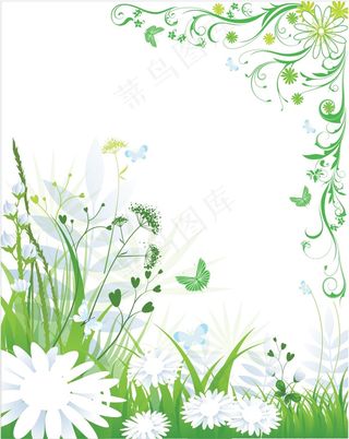 绿色的春天和夏天的背景