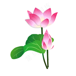 矢量手绘荷花荷叶矢量手绘荷花荷叶