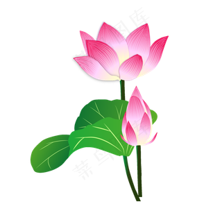 矢量手绘荷花荷叶矢量手绘荷花荷叶