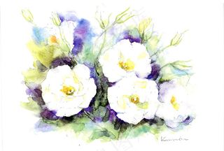 花卉水彩插画