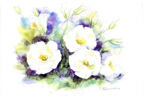花卉水彩插画 花卉水彩插画
