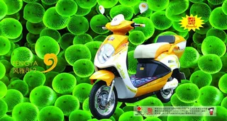 新日电动车风雅8 2图片