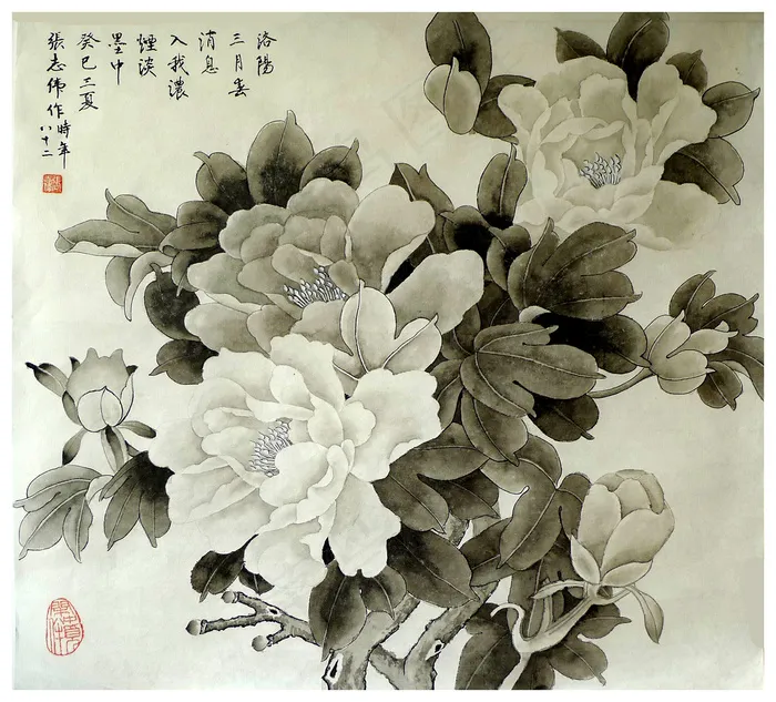 水墨牡丹图片
