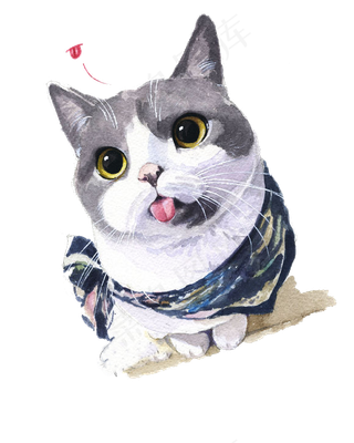 小猫咪手绘素材