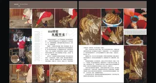 生活人文杂志内页图片