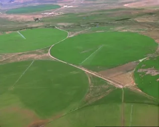 稻田视频素材素材下载