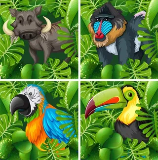 丛林中的卡通动物图片