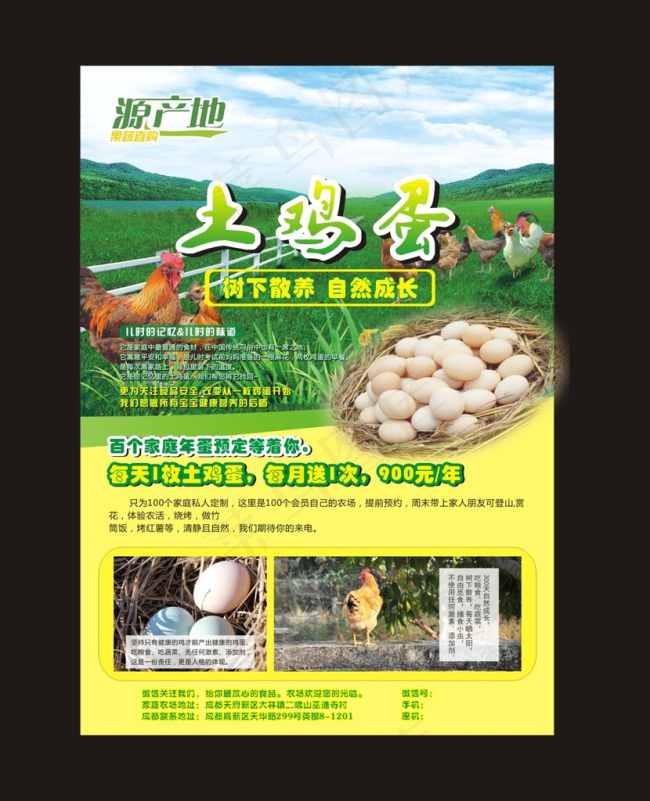 土鸡蛋宣传单cdr矢量模版下载